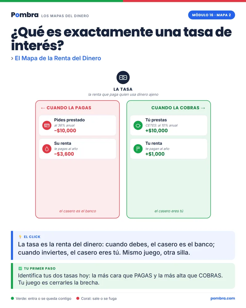 Un término difícil (interés compuesto) explicado con un dibujo simple al lado.
